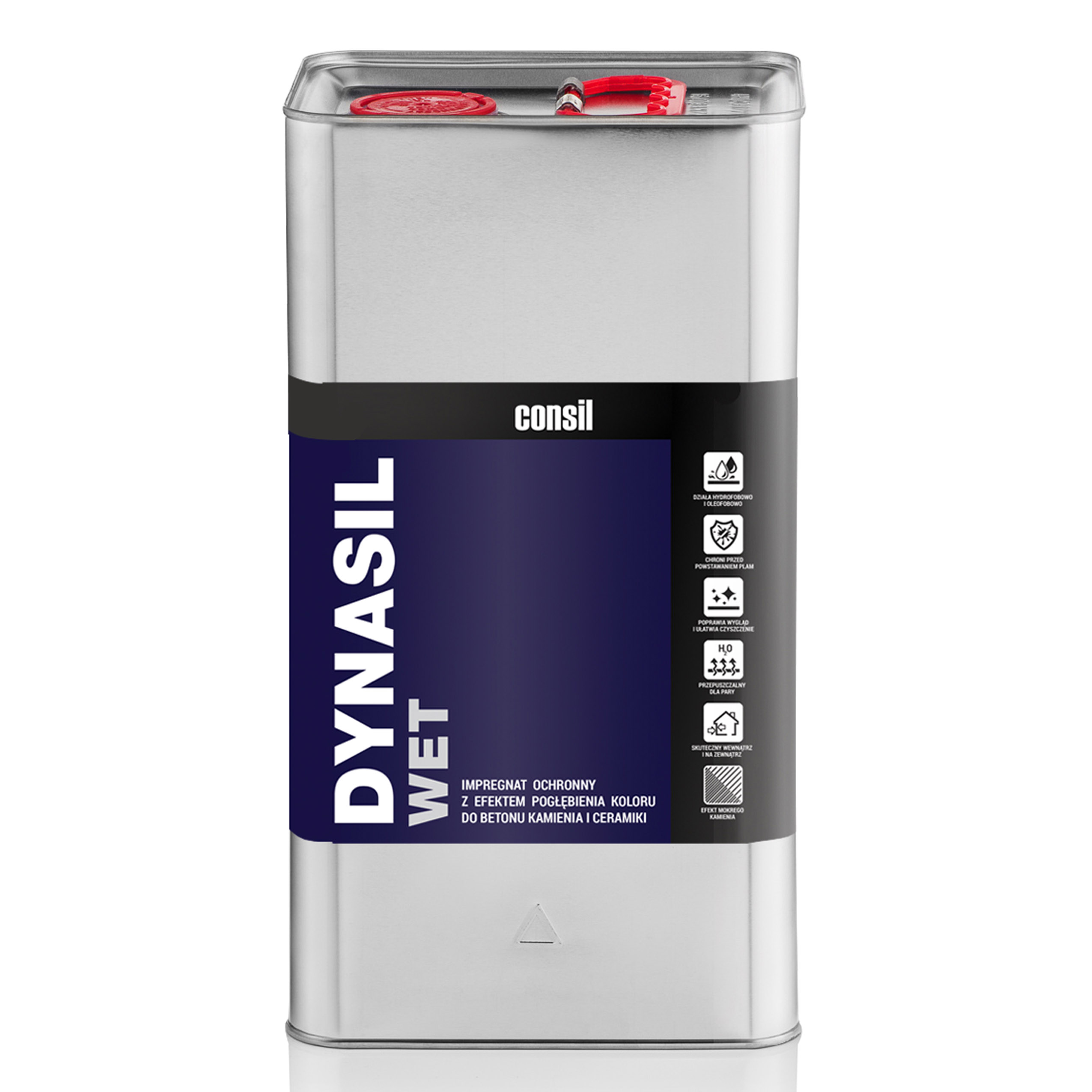 DYNASIL WET 5L - impregnácia prehlbujúca farbu