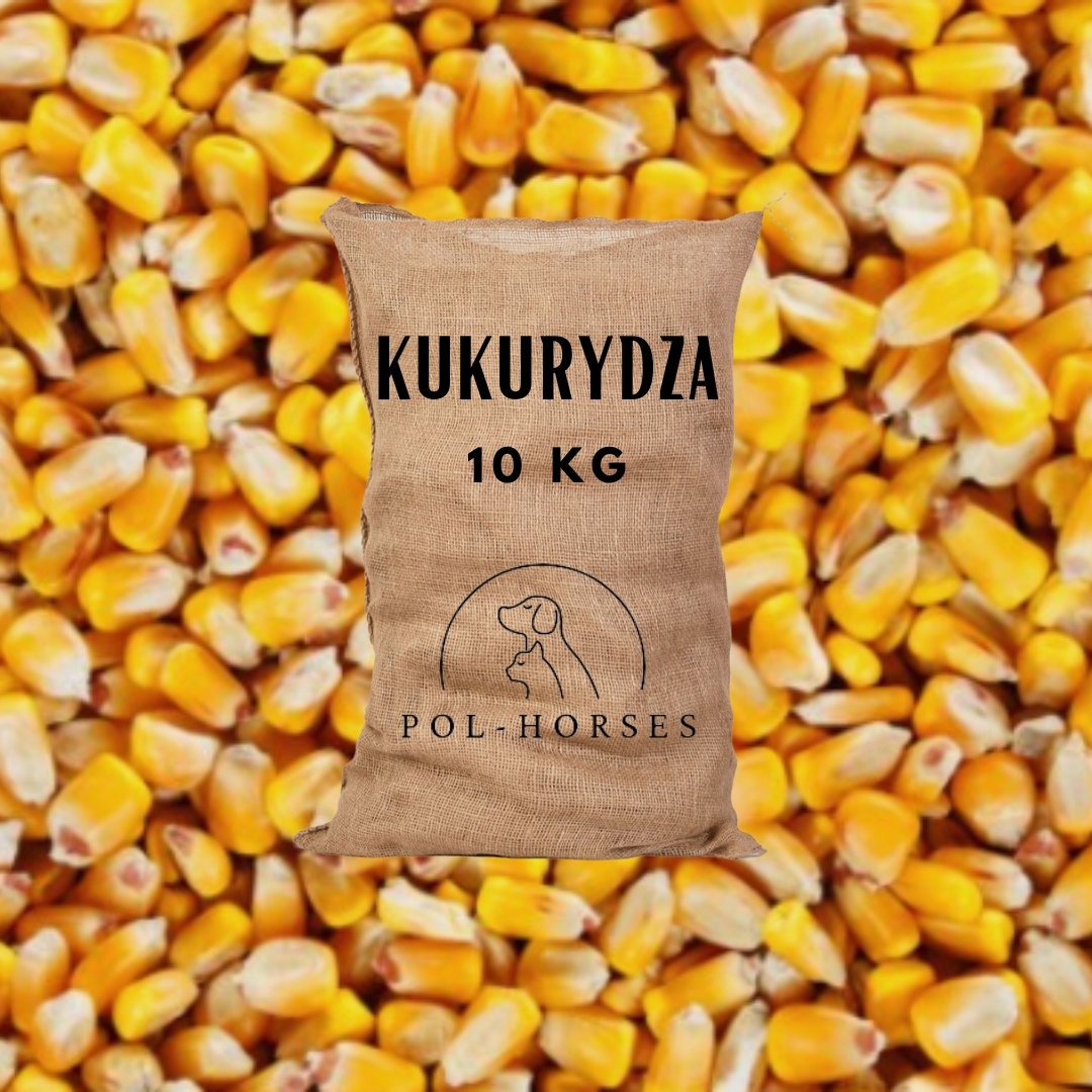 Kukuričné zrno 10kg kŕmna návnada pre kurčatá