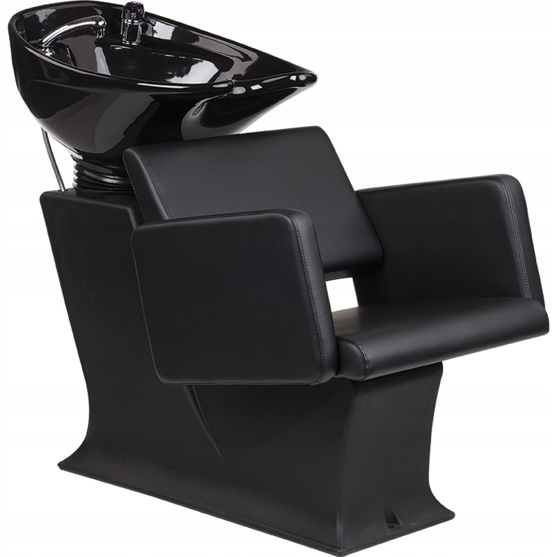 AYALA LADY LEA BLACK HAIR WASH 48H