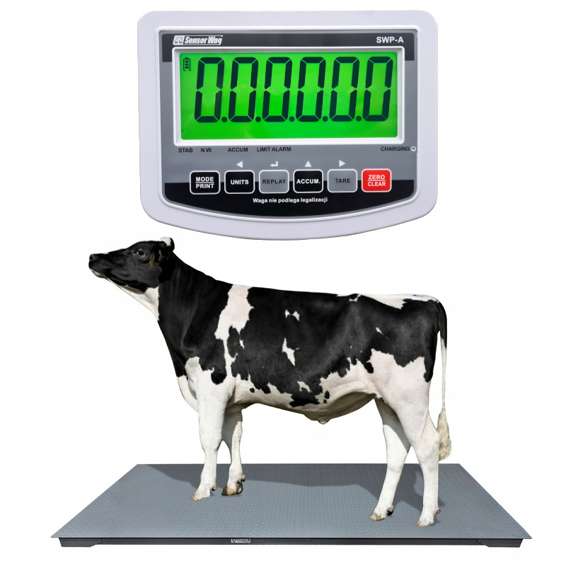 Sensorwag Platform Scale 5000 kg x 500 g