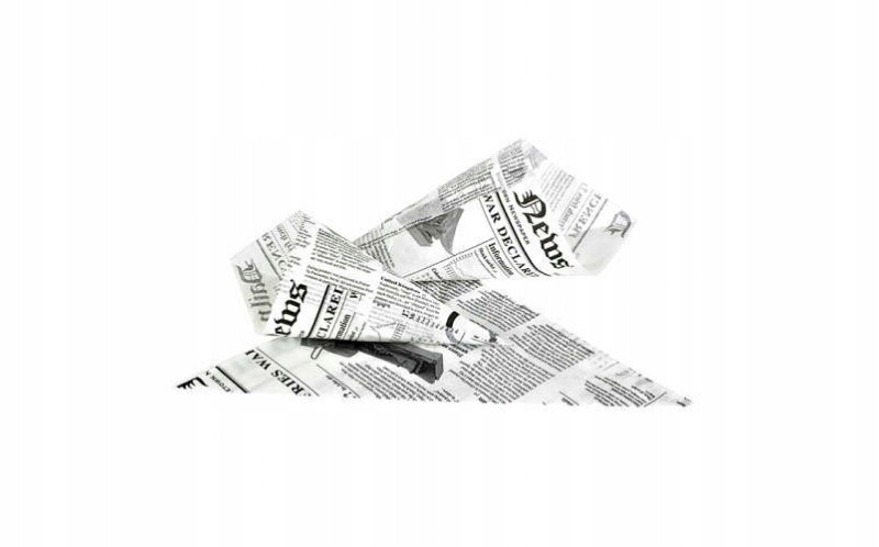 Vrecká na hranolky Gazeta 450g 31x22x22 a1000